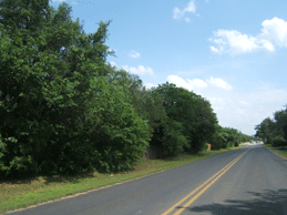 picture of cr 273 behind oak ridge subdivision in leander