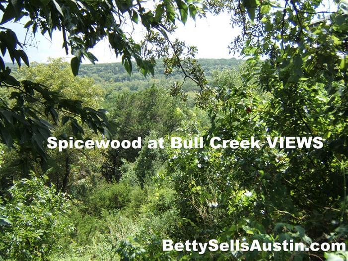Spicewood at bull creek