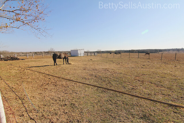 TX horse property for sale