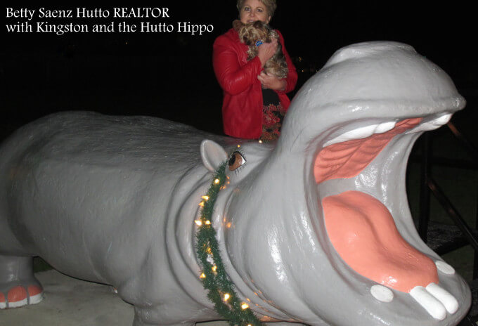 Hutto tx hippo