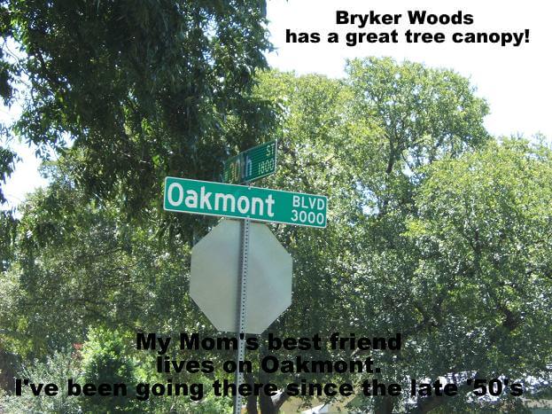 Bryker woods