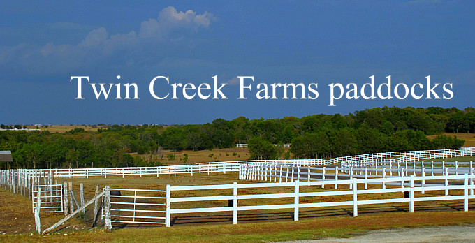 Twin creek farms paddocks