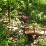 A footbridge through the shaded dog-friendly landscape of Zilker Botanical Gardens